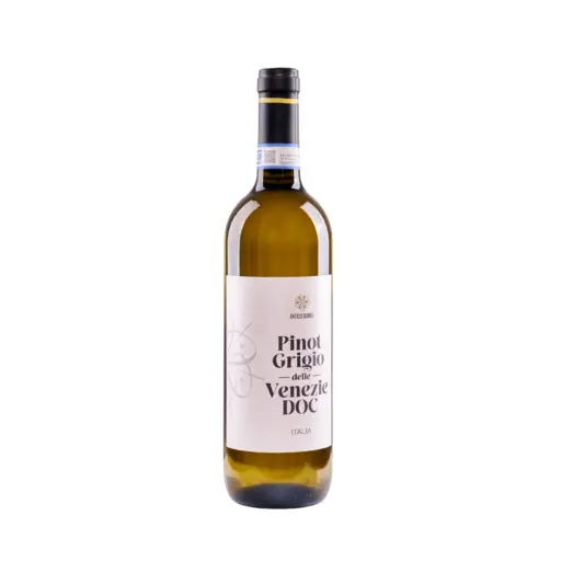 Antico Divino Pinot Grigio