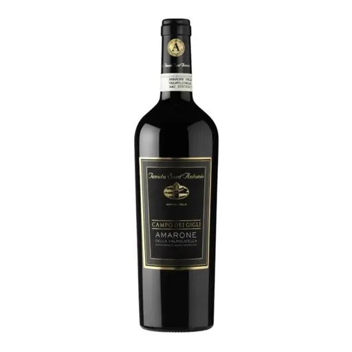 Tenuta Sant'Antonio Amarone Campo dei Gigli