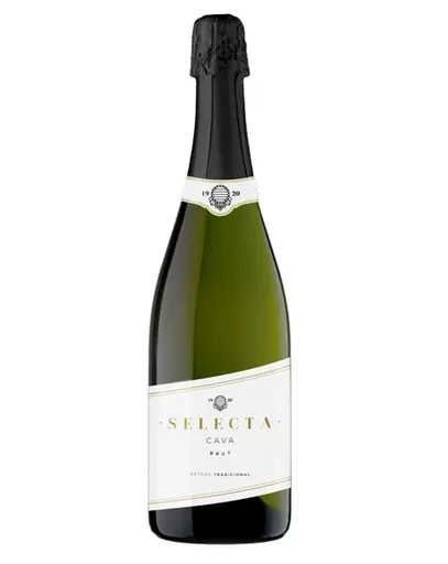 VIn Spumant Selecta Brut Nature - Cava Brut Nature