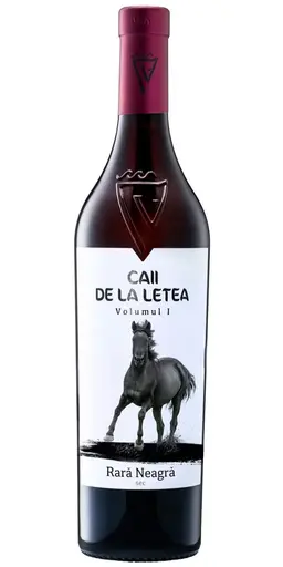 Caii de la Letea Volumul II