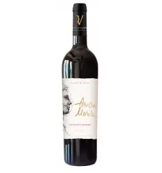 DOMENIUL VLADOI-FETEASCA NEAGRA ANCA MARIA
