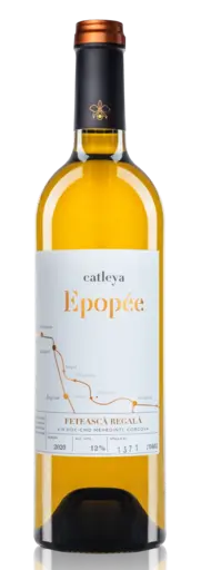 CATLEYA EPOPEE FETEASCA REGALA