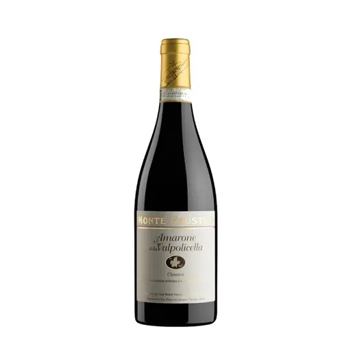 Amarone della Valpolicella DOCG 2020 Monte Faustino