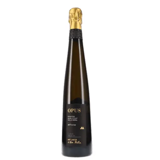 Spania Alta Alella Cava Mirgin Opus
