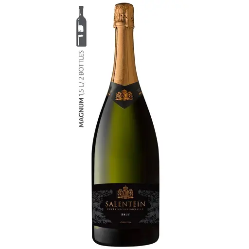 SALENTEIN Cuvee Exceptionnelle Brut 2024 MAGNUM Valle de Uco Mendoza