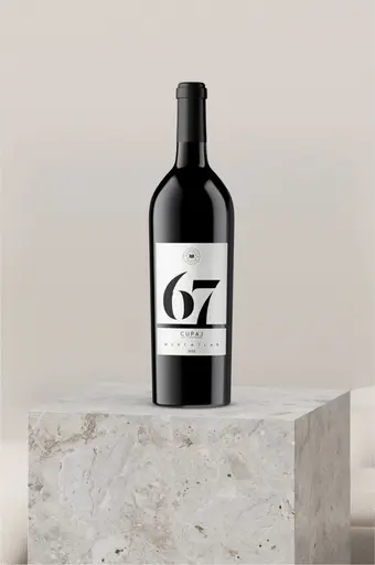 Vin Rosu Domeniile Mitroi 67 Cuvee Merlot, Sec