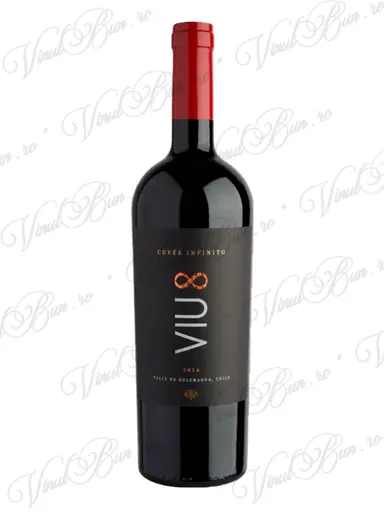 Viu Manent Vin Viu Manent Viu8 Cuvee Infinito 2018