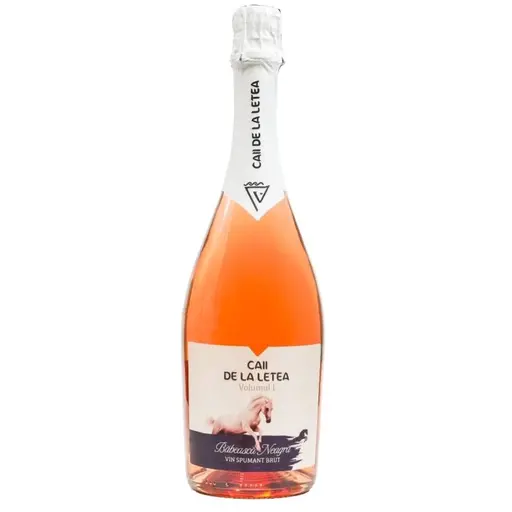 Caii De La Letea Volumul 1 Rose Magnum