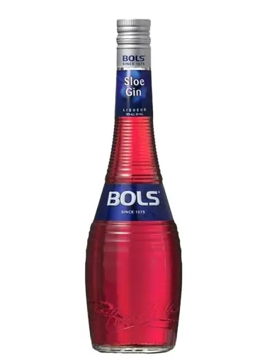 Bols - Lichior Sloe Gin