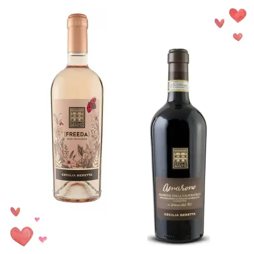 CECILIA BERETTA Amarone - Freeda PAIRING