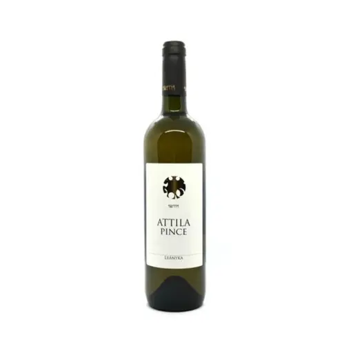 Attila Pince Leanyka 2018 Sec