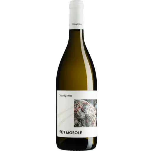 Sauvignon DOC