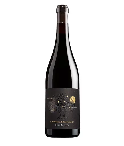 Vin Rosu Colline Teatine IGT, Montepulciano si Pinot Noir, Abruzzo, Radici Rosso, 2021, Di Sipio