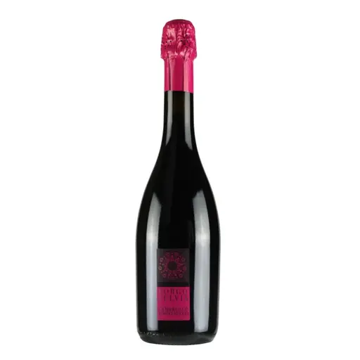 Vin Borgofulvia Lambrusco Emilia IGT rosu sec frizante