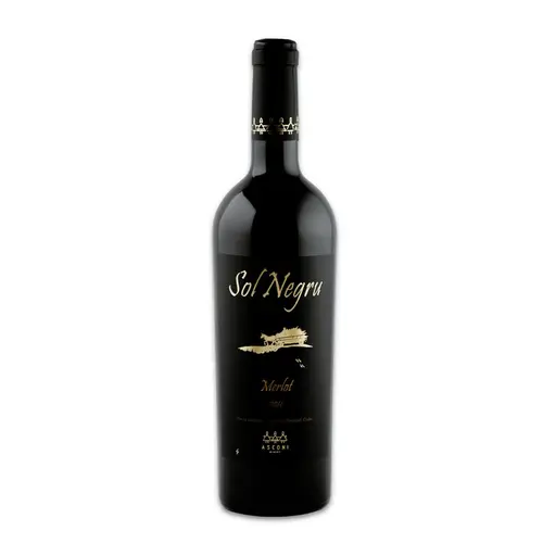 Vin Rosu Sec Asconi Sol Negru Merlot