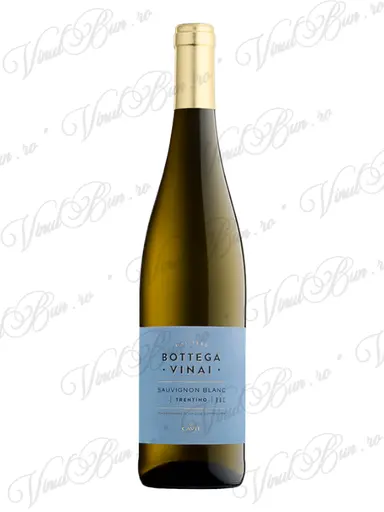 Cantina Viticoltori Cavit Vin Cavit Bottega Vinai Sauvignon Blanc Trentino DOC
